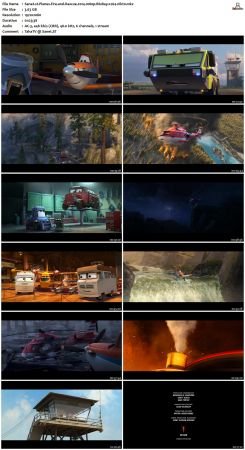 Planes Fire and Rescue 2014 1080p BluRay x264-nikt0