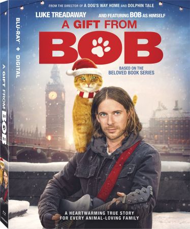 A Christmas Gift from Bob 2020 1080p BluRay x264 DTS-WiKi