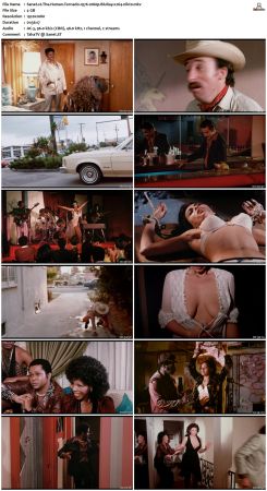 The Human Tornado 1976 1080p BluRay x264-nikt0