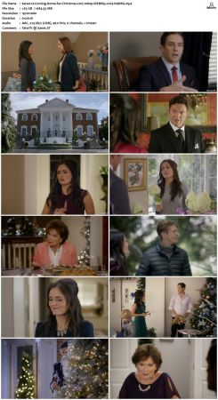 Christmas Movie PACK 1080p BluRay WEBRip x264-RARBG