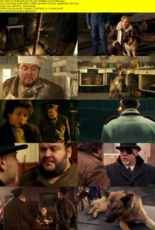 Finding Rin Tin Tin 2007 WEBRip x264-ION10