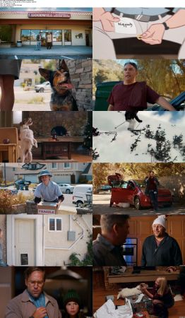 Pups Alone 2021 1080p WEBRip DD5.1 X264-EVO