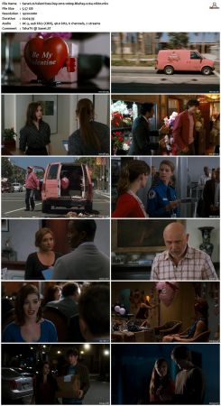 Valentines Day 2010 1080p BluRay x264-nikt0