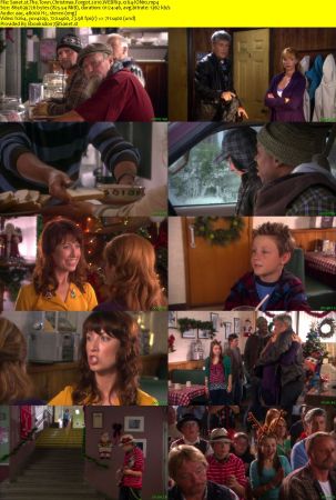 The Town Christmas Forgot 2010 WEBRip x264-ION10