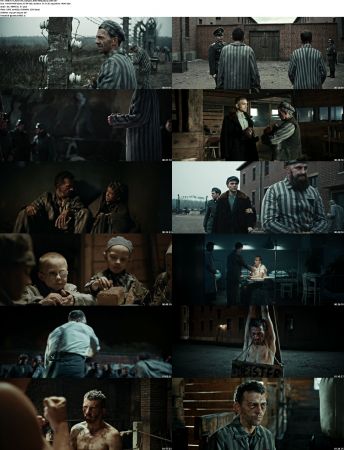 The Champion 2020 1080p BluRay x264-FLAME