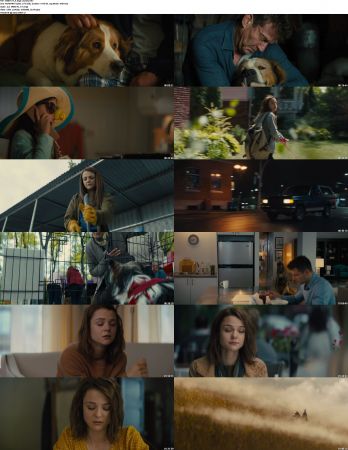A Dogs Journey 2019 1080p BRRip x264 AC3 DiVERSiTY