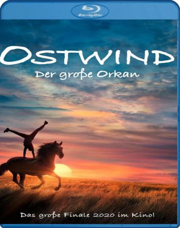 Windstorm The Great Hurricane 2021 1080p BluRay x264-GUACAMOLE