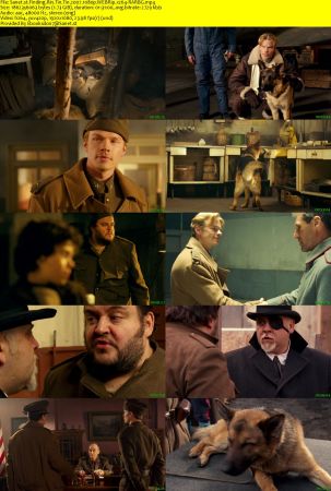 Finding Rin Tin Tin 2007 1080p WEBRip x264-RARBG