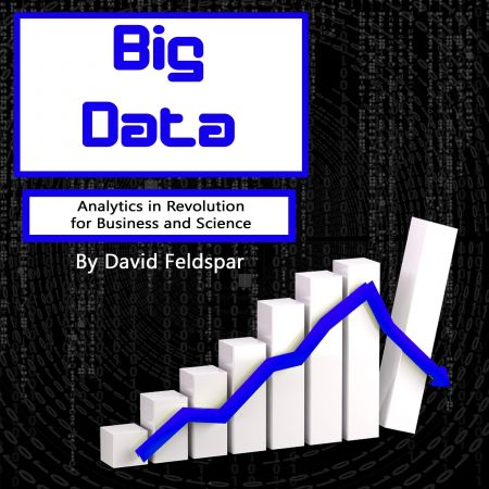 Big Data: Analytics in Revolution for Business and ScienceAudiobook