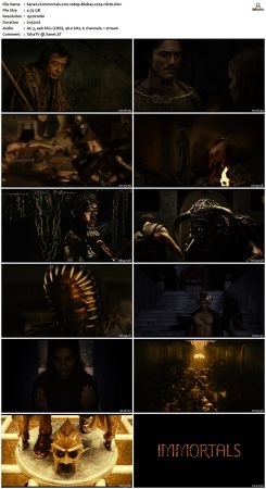 Immortals 2011 1080p BluRay x264-nikt0