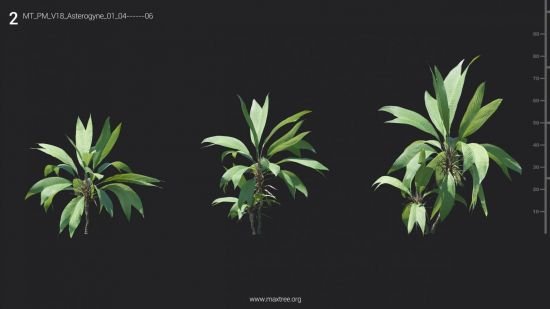 Maxtree - Plant Models Vol 18