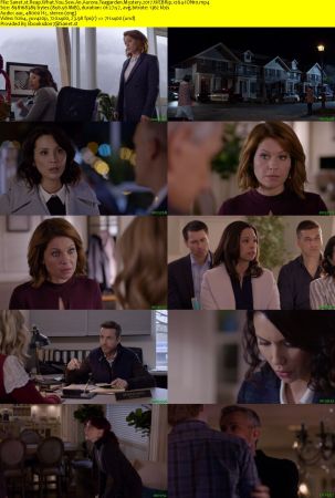 Reap What You Sew An Aurora Teagarden Mystery 2017 WEBRip x264-ION10