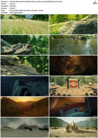 Minuscule The Valley Of The Lost Ants 2013 1080p BluRay x264-PFa