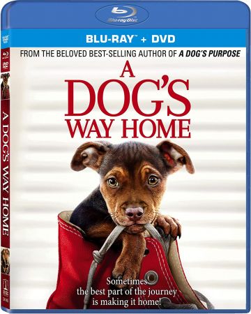 A Dogs Way Home 2019 1080p BRRip x264 AC3 DiVERSiTY