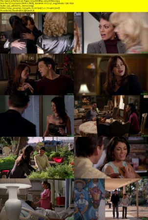 Perfect on Paper 2014 WEBRip x264-ION10