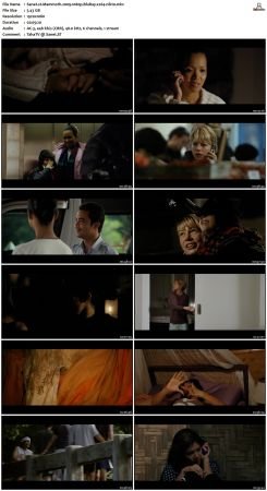 Mammoth 2009 1080p BluRay x264-nikt0