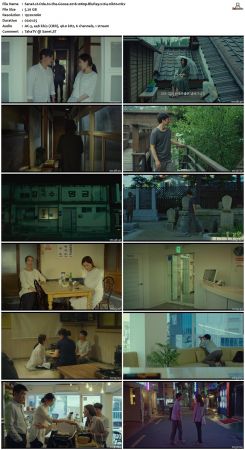Ode to the Goose 2018 1080p BluRay x264-nikt0