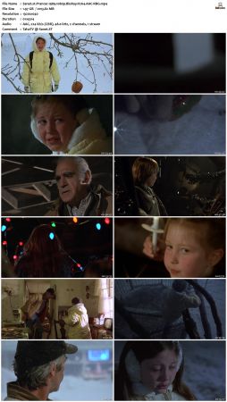 Christmas Movie PACK 1080p BluRay WEBRip x264-RARBG