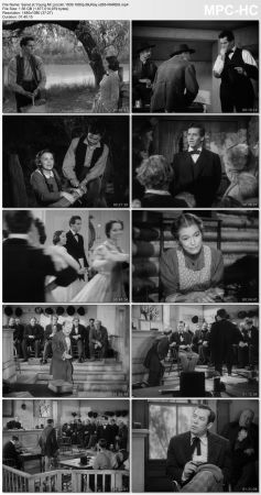 Young Mr. Lincoln 1939 1080p BluRay x265-RARBG