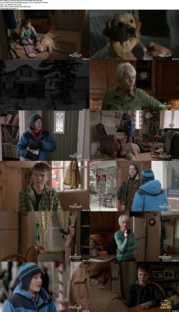 Hallmark Christmas Movies Pack Two