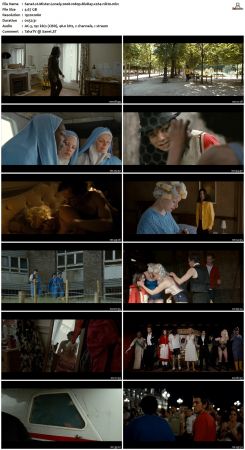 Mister Lonely 2007 1080p BluRay x264-nikt0