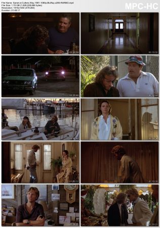 Cutters Way 1981 1080p BluRay x265-RARB