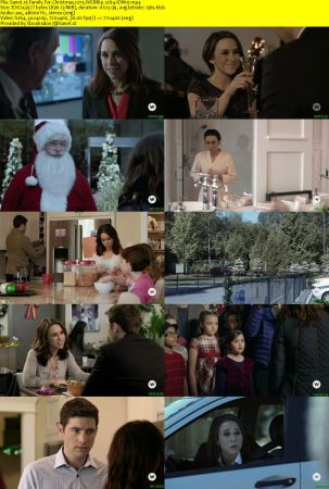 Family For Christmas 2015 WEBRip x264-ION10