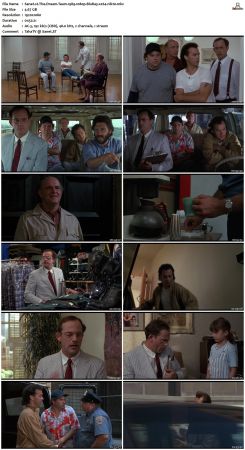 The Dream Team 1989 1080p BluRay x264-nikt0