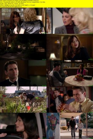 Perfect on Paper 2014 WEBRip XviD MP3-XVID