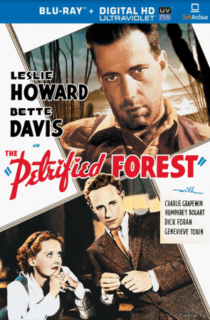 The Petrified Forest 1936 1080p BluRay x264-nikt0
