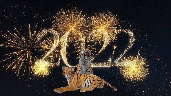 Tigers and fireworks 2022 with voice acting - Footage 4K