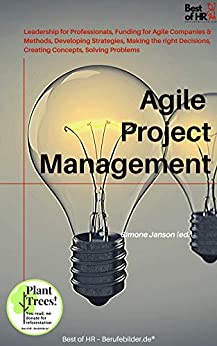 Agile Project Management: Leadership for Professionals, Funding for Agile Companies &amp; Methods, Developing Strategies