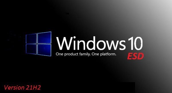 Windows 10 x64 21H2 Build 19044.1466 10in1 OEM ESD January 2022 Preactivated