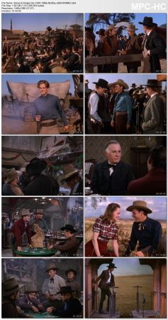 Dodge City 1939 1080p BluRay x265-RARBG