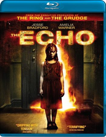 The Echo 2008 1080p BluRay x265-RARBG
