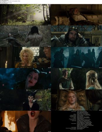 Maleficent 2014 1080p BluRay x264 DTS DiVERSiTY