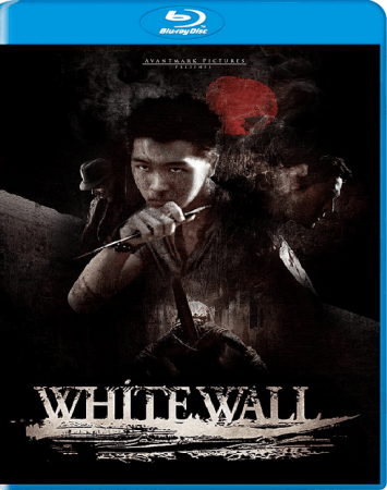 White Wall 2010 1080p BluRay x265-RARBG