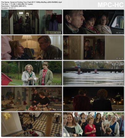 Finding Your Feet 2017 1080p BluRay x265-RARBG