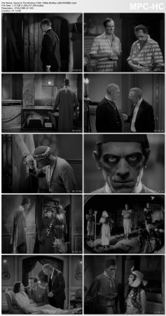 The Mummy 1932 1080p BluRay x265-RARBG
