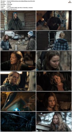 Winters Bone 2010 1080p BluRay x264-nikt0