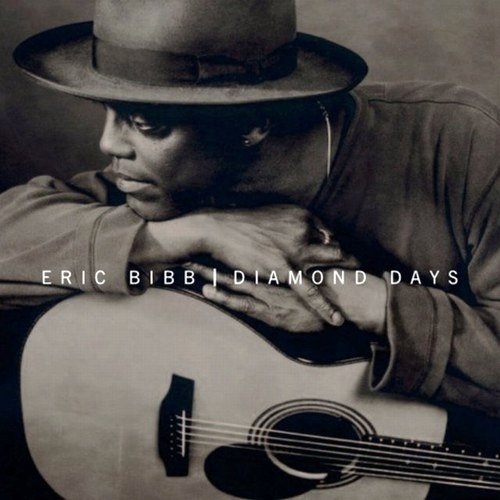 Eric Bibb - Diamond Days (2006)24/48 Hi-Res