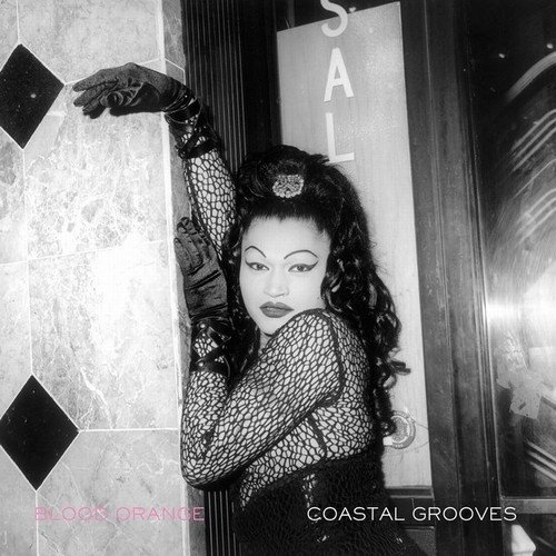 Blood Orange - Coastal Grooves (2011)24/48 Hi-Res