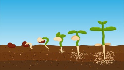 Biology : Plant Growth & Development
