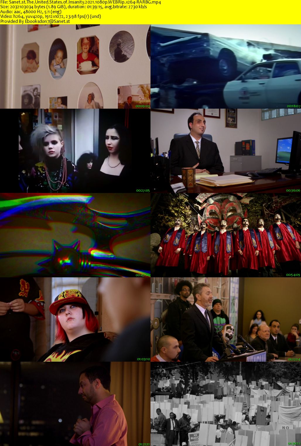 The United States of Insanity 2021 1080p WEBRip x264-RARBG - SoftArchive