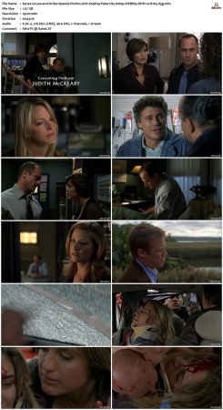 Law and Order Special Victims Unit S09 1080p WEBRip DDP2.0 H265-d3g
