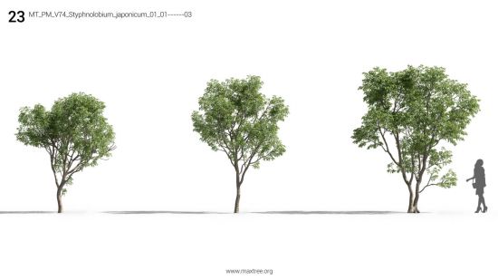 Maxtree - Plant Models Vol 74