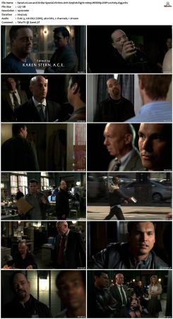 Law and Order Special Victims Unit S09 1080p WEBRip DDP2.0 H265-d3g