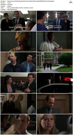Law and Order Special Victims Unit S09 1080p WEBRip DDP2.0 H265-d3g