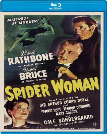 Sherlock Holmes The Spider Woman 1944 1080p BluRay x265-RARBG