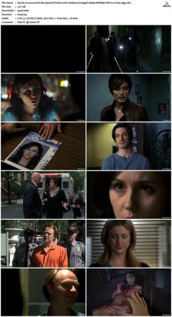 Law and Order Special Victims Unit S09 1080p WEBRip DDP2.0 H265-d3g